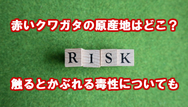 赤いクワガタ ヒラズゲンセイ の原産地はどこ 触るとかぶれる猛毒の毒性 危険性 情報チャンネル