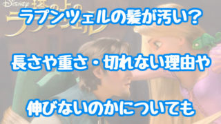塔の上のラプンツェル 情報チャンネル