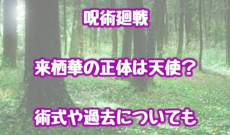 呪術廻戦の来栖華の正体